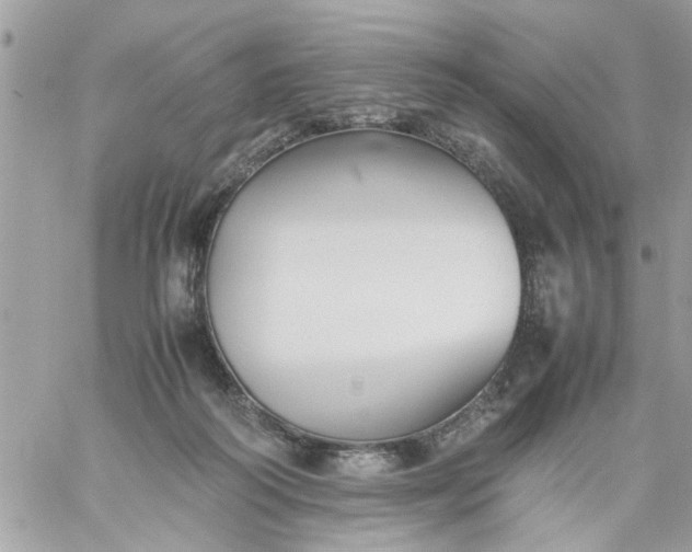 X0000059230218200510281913