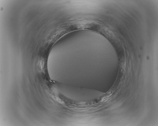 X0000059230219200510281913