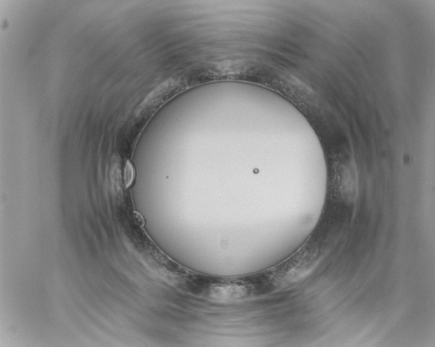 X0000059230220200510281913