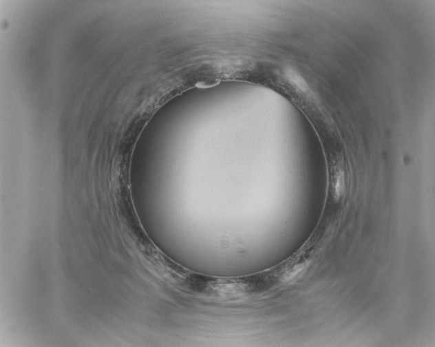 X0000059230221200510281913