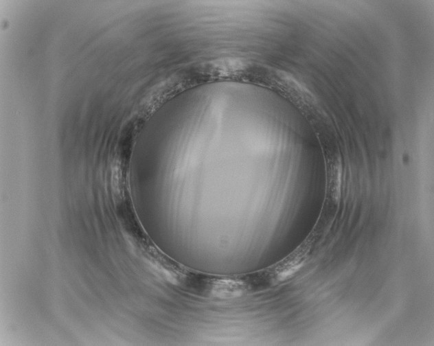 X0000059230222200510281913