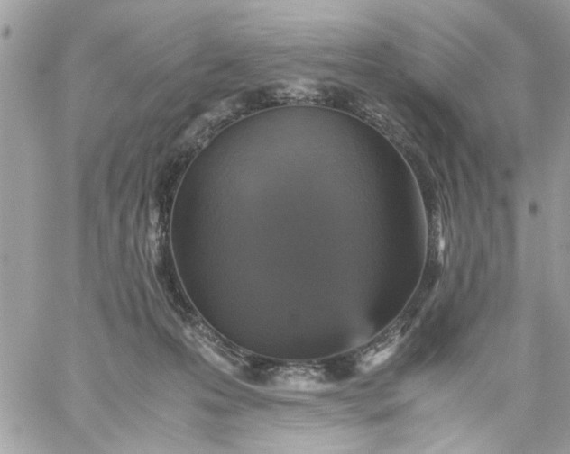 X0000059230223200510281913