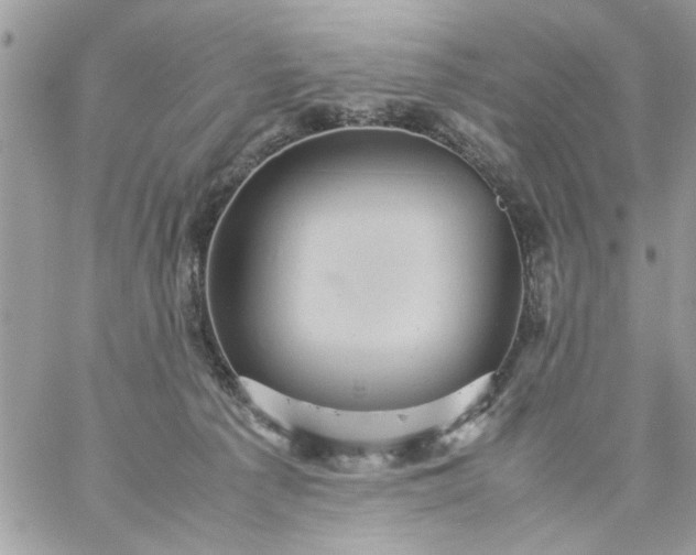 X0000059230225200510281913