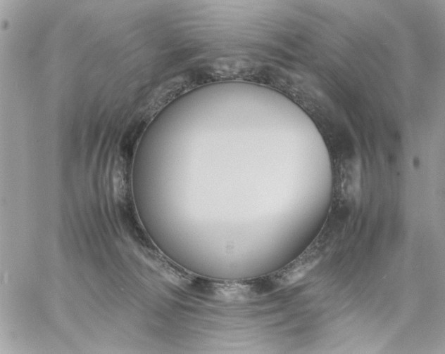 X0000059230226200510281913