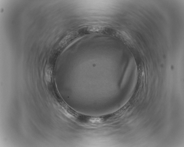 X0000059230227200510281913