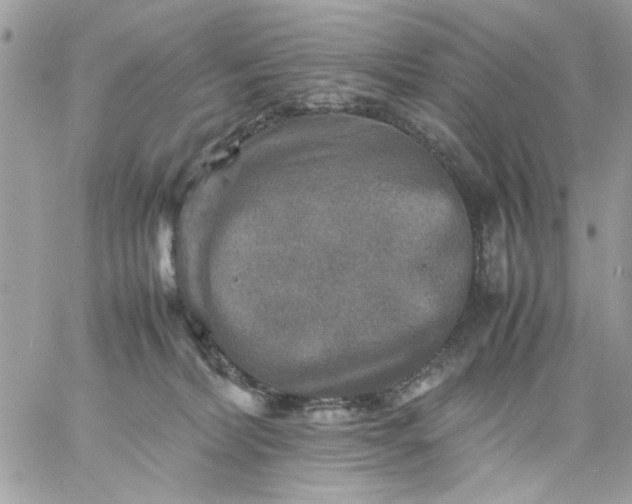 X0000059230228200510281913