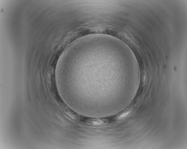 X0000059230229200510281913