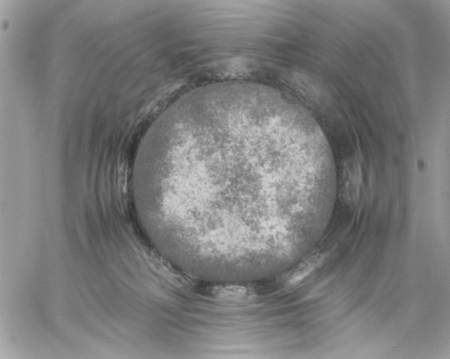 X0000059230230200510281913