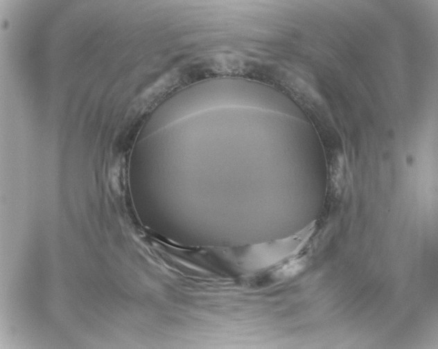 X0000059230233200510281913