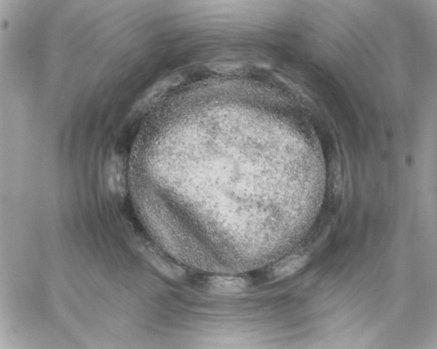 X0000059230234200510281913