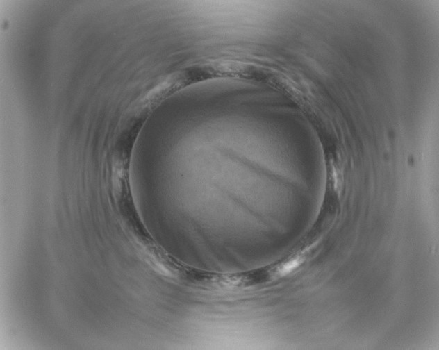 X0000059230235200510281913