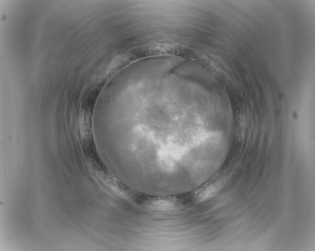 X0000059230236200510281913