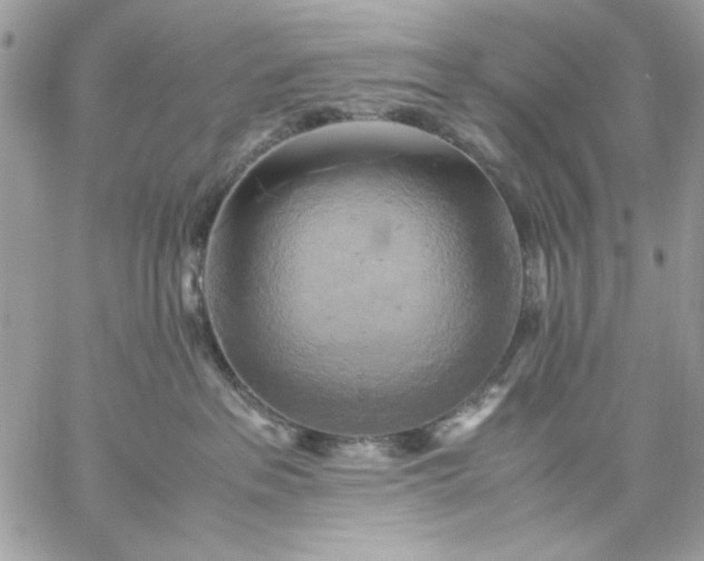 X0000059230237200510281913