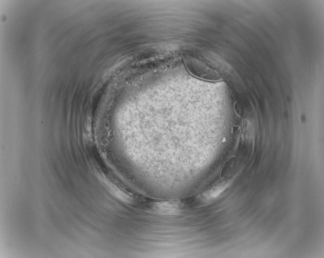 X0000059230238200510281913