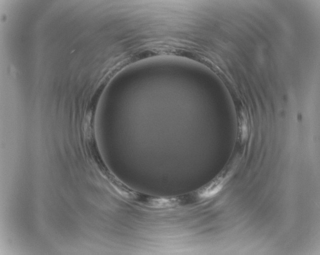 X0000059230239200510281913