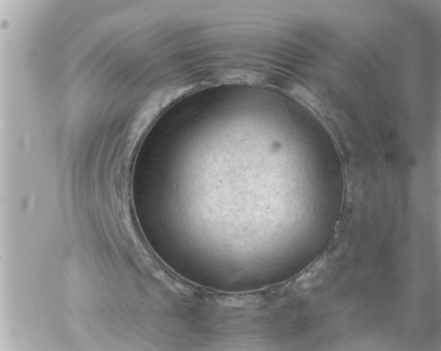 X0000059230241200510281912