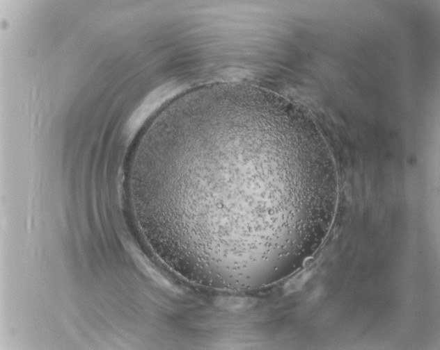 X0000059230242200510281912