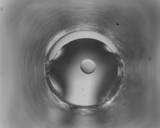 X0000059230244200510281912