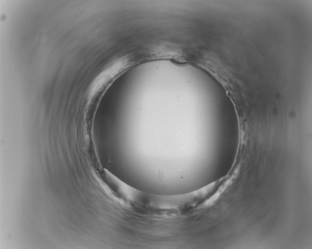 X0000059230245200510281912