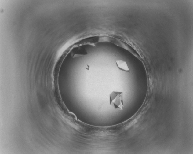 X0000059230246200510281912