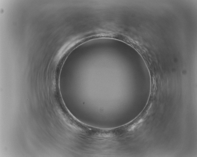 X0000059230247200510281912