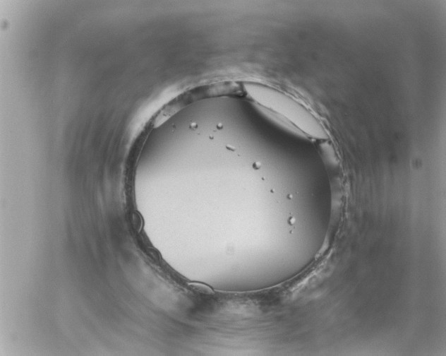 X0000059230248200510281912