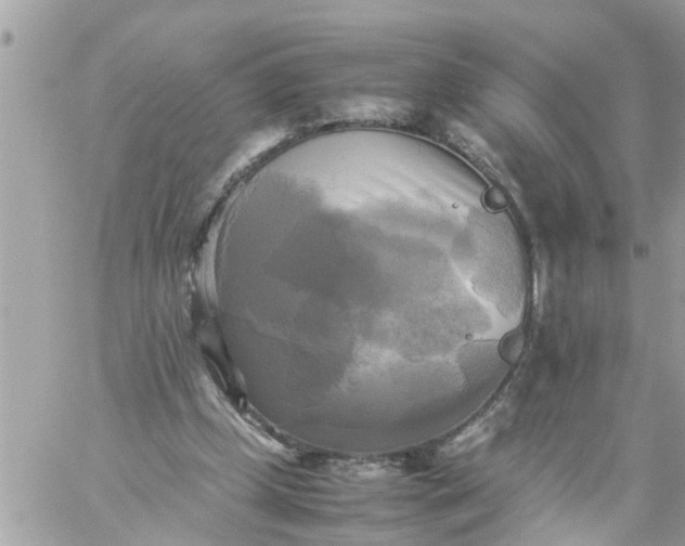 X0000059230249200510281912