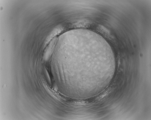 X0000059230250200510281912