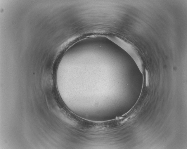 X0000059230252200510281912