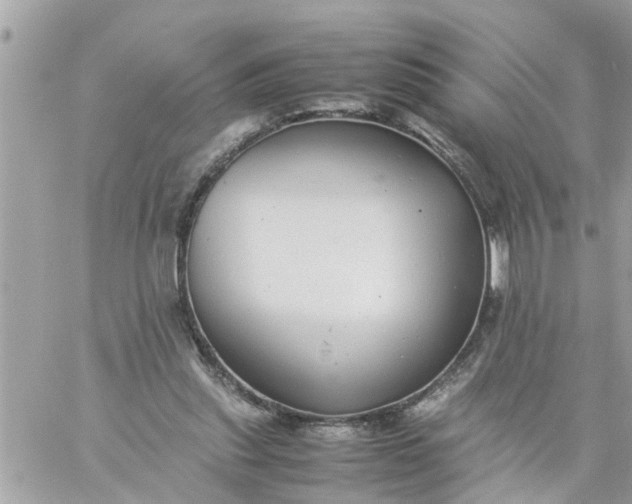 X0000059230253200510281912