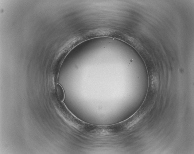 X0000059230254200510281912