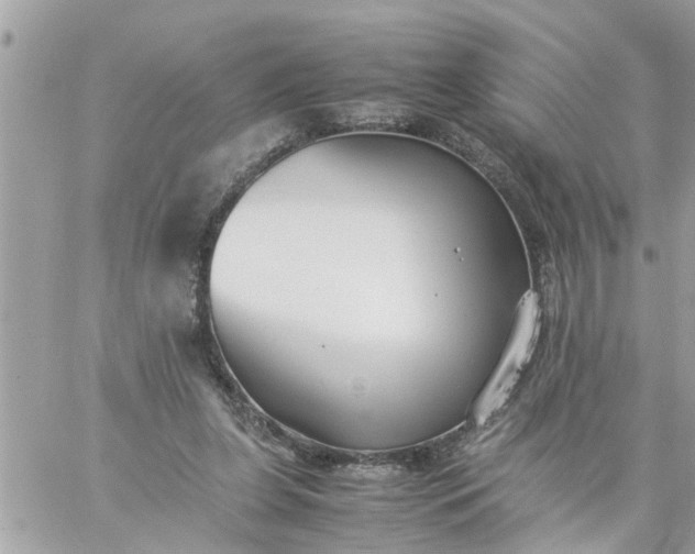 X0000059230255200510281912