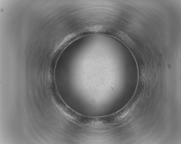 X0000059230256200510281912