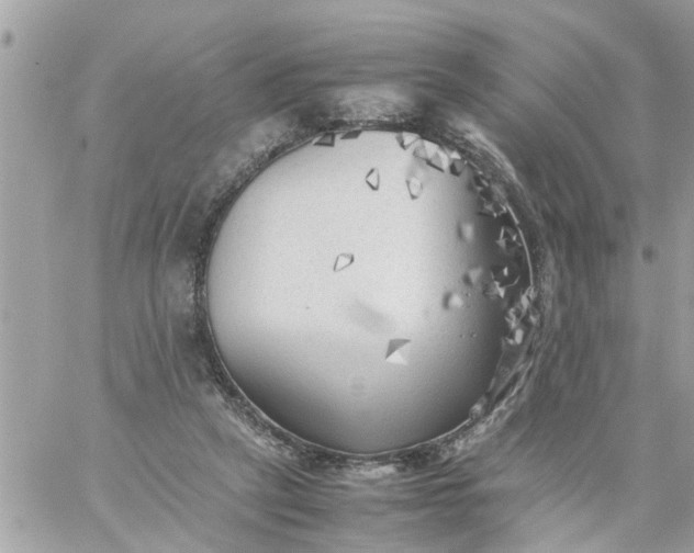 X0000059230257200510281912