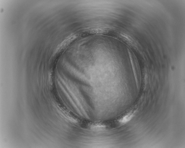 X0000059230258200510281913