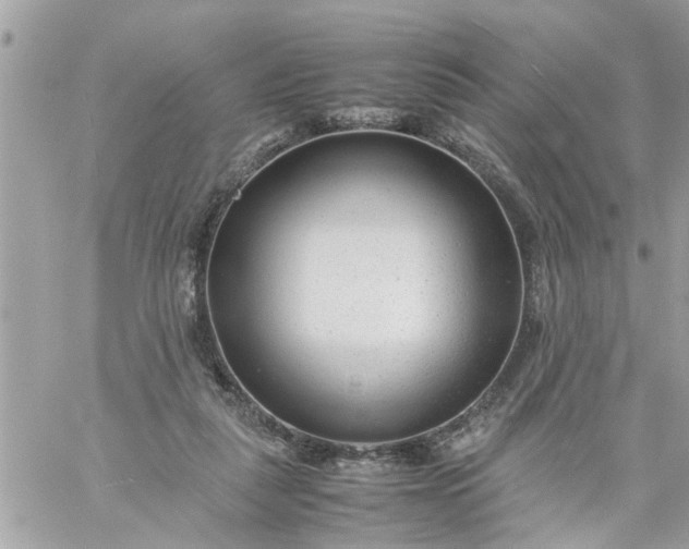 X0000059230259200510281913