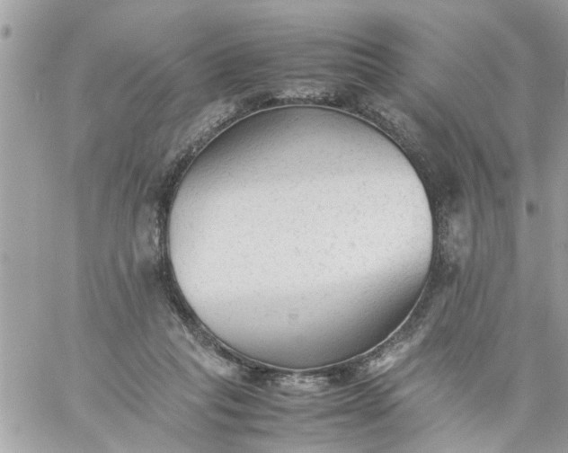 X0000059230261200510281913