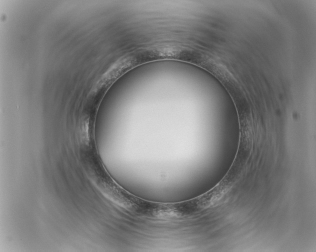 X0000059230262200510281913