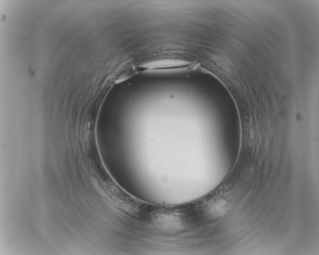 X0000059230263200510281913