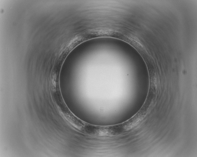 X0000059230264200510281913