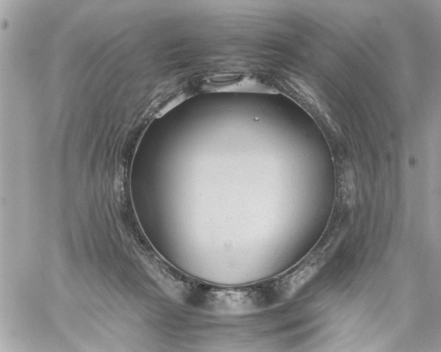 X0000059230265200510281913