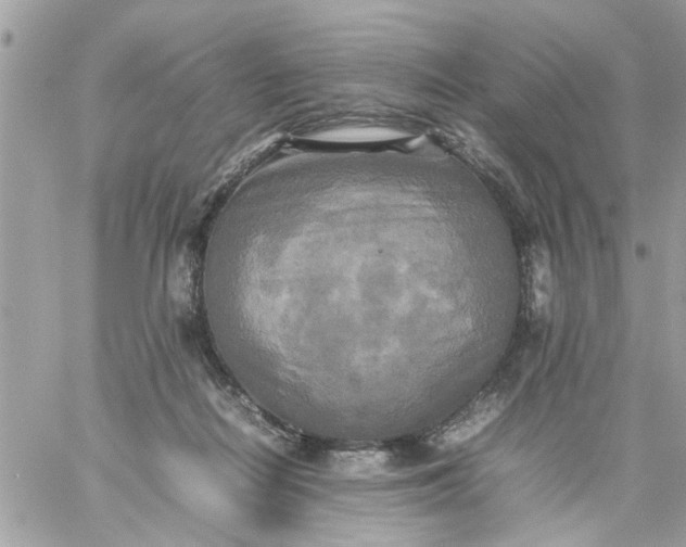 X0000059230266200510281913