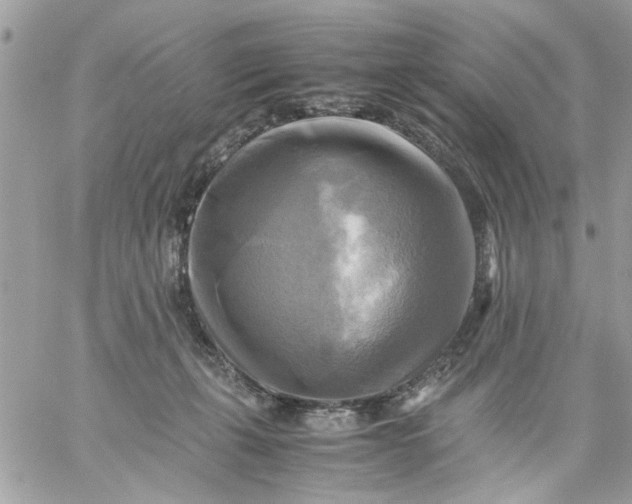 X0000059230271200510281913