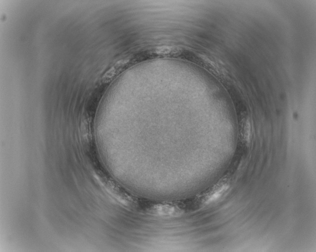 X0000059230272200510281913