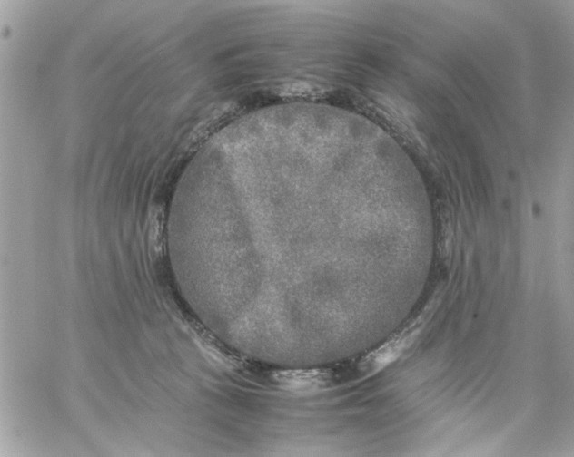 X0000059230273200510281913