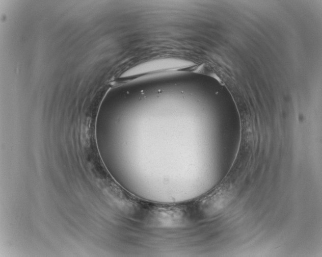 X0000059230275200510281913