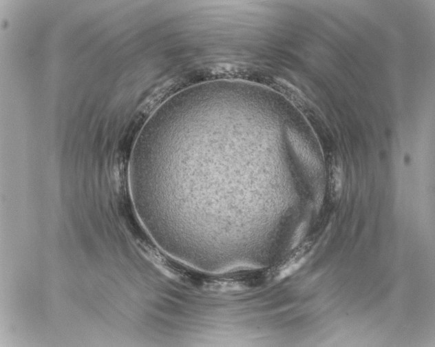 X0000059230276200510281913