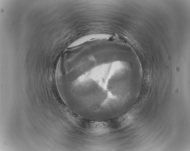 X0000059230277200510281913