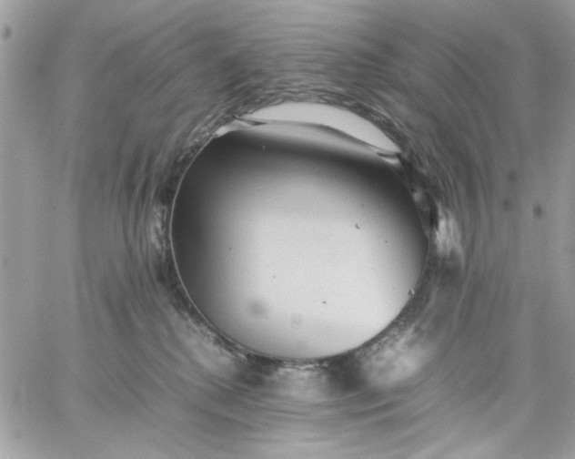 X0000059230280200510281913