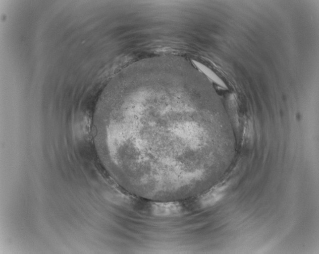 X0000059230281200510281913